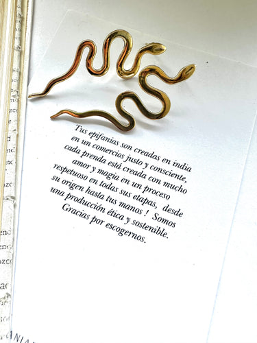 Aros de Bronce con Diseño de Serpiente